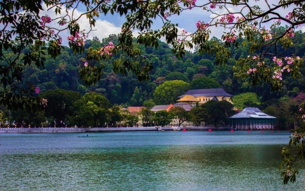 Nisansala Homestay Kandy Deiyannewela エクステリア 写真